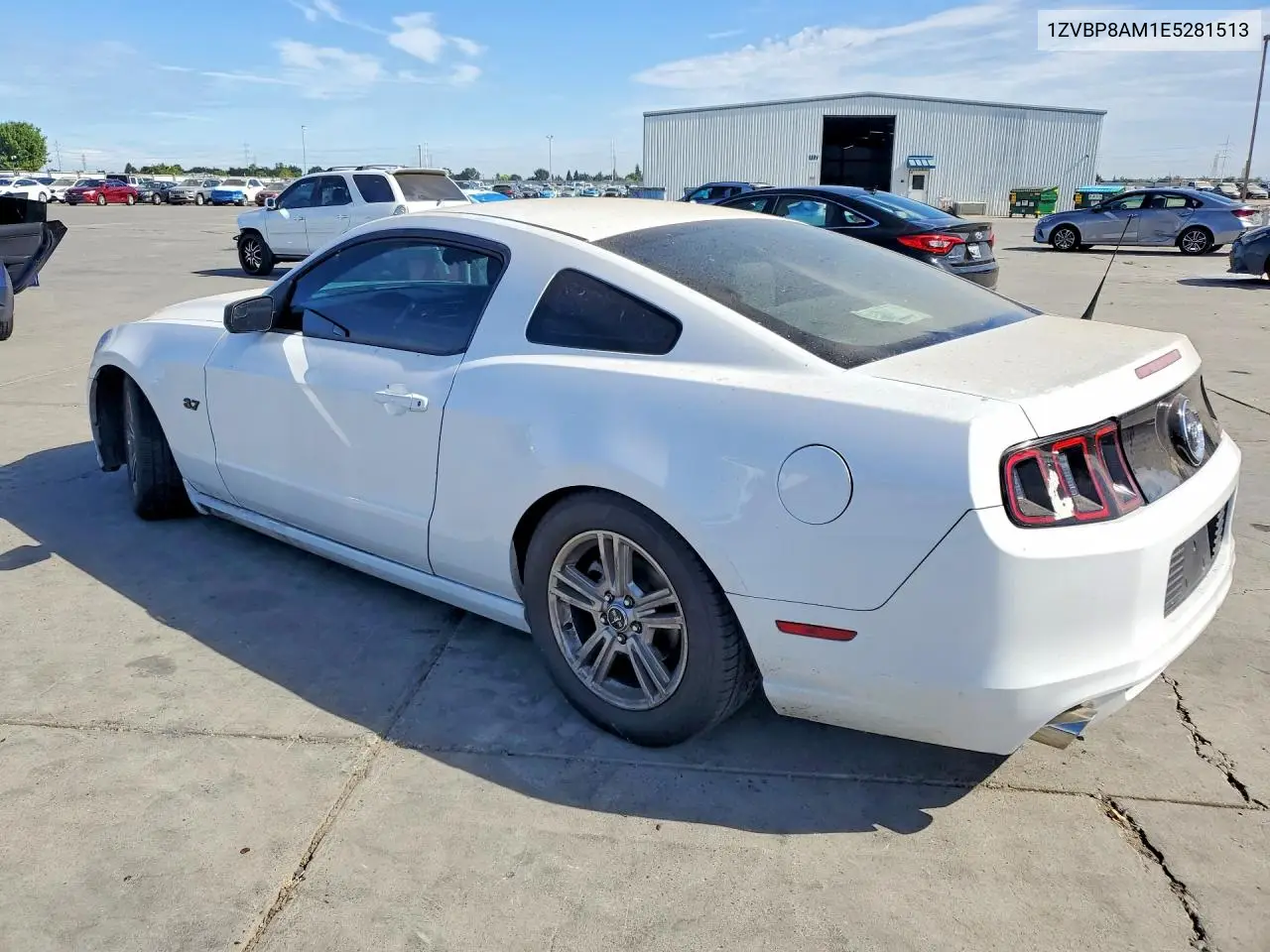 2014 Ford Mustang VIN: 1ZVBP8AM1E5281513 Lot: 61447616