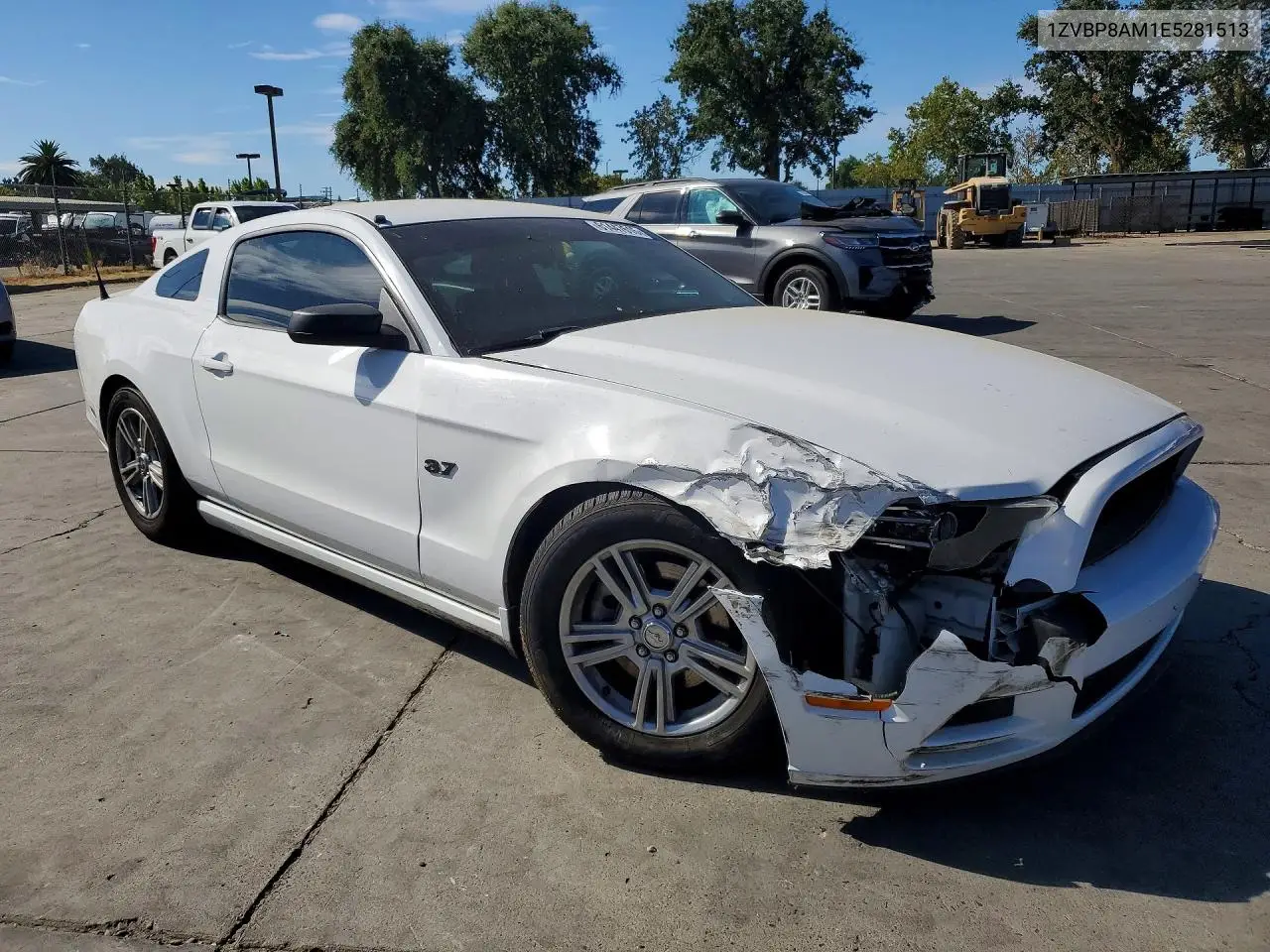 2014 Ford Mustang VIN: 1ZVBP8AM1E5281513 Lot: 61447616