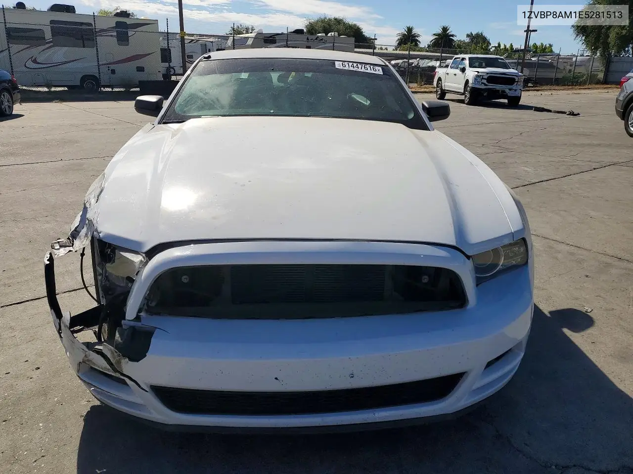 2014 Ford Mustang VIN: 1ZVBP8AM1E5281513 Lot: 61447616