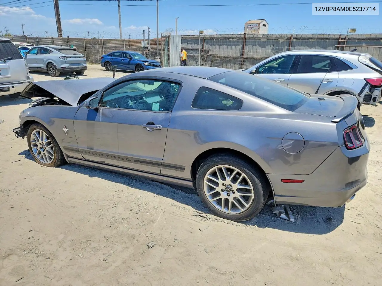 2014 Ford Mustang VIN: 1ZVBP8AM0E5237714 Lot: 61479786