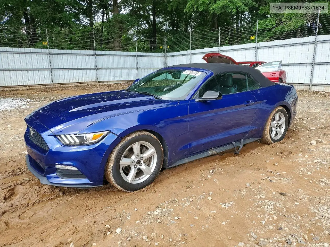 2015 Ford Mustang VIN: 1FATP8EM9F5371534 Lot: 56769326