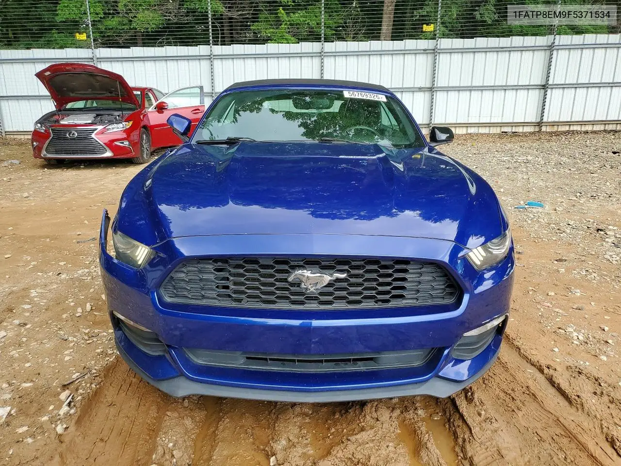 2015 Ford Mustang VIN: 1FATP8EM9F5371534 Lot: 56769326