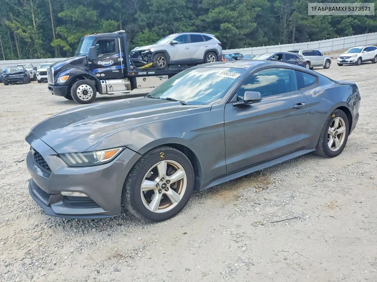 2015 Ford Mustang VIN: 1FA6P8AMXF5373571 Lot: 59960336