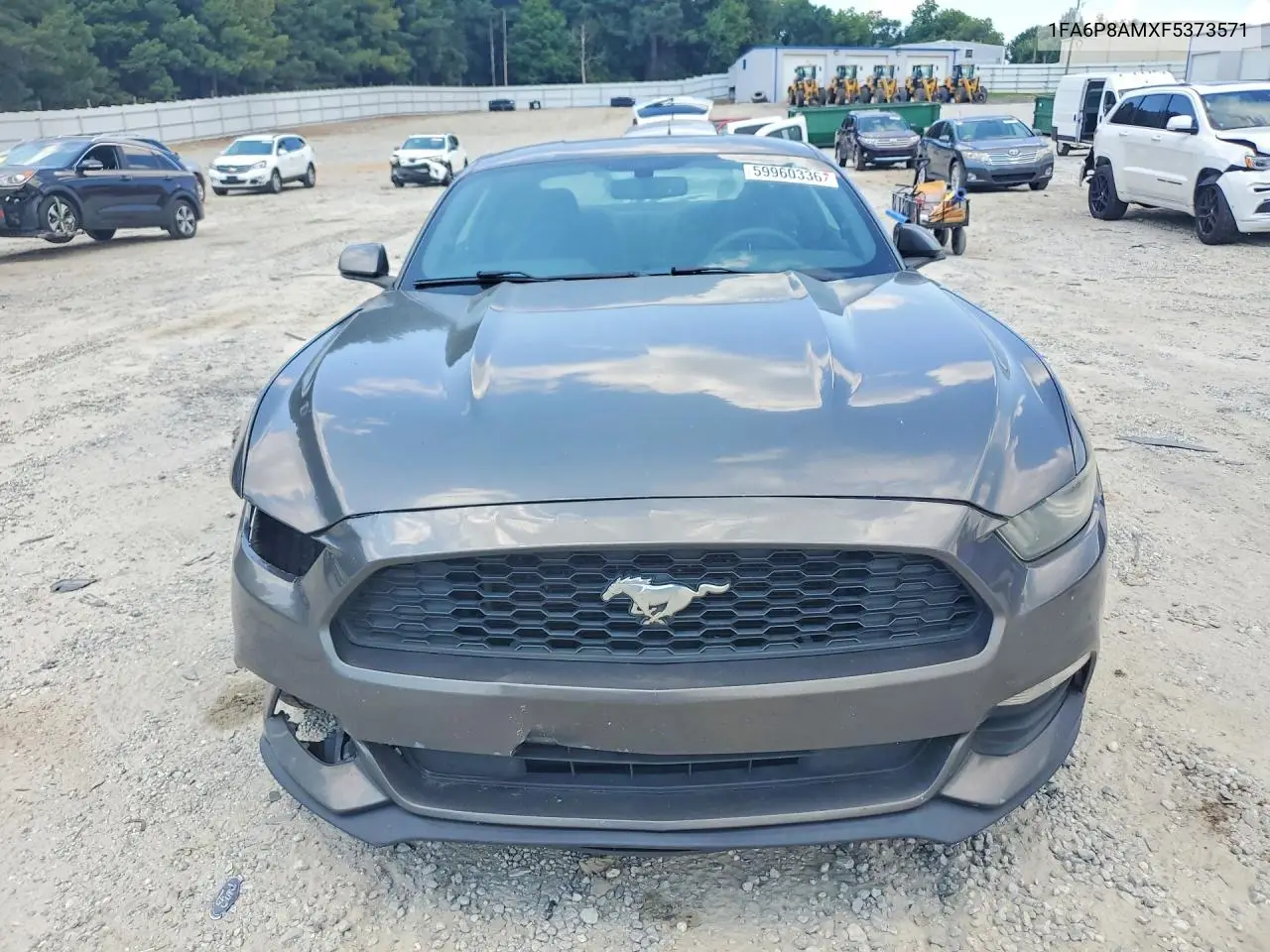 2015 Ford Mustang VIN: 1FA6P8AMXF5373571 Lot: 59960336