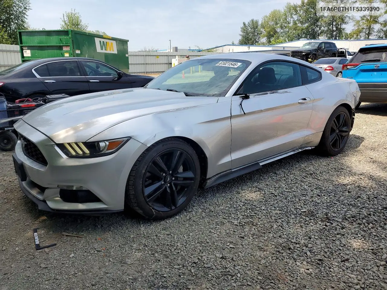 2015 Ford Mustang VIN: 1FA6P8TH1F5339390 Lot: 61021546