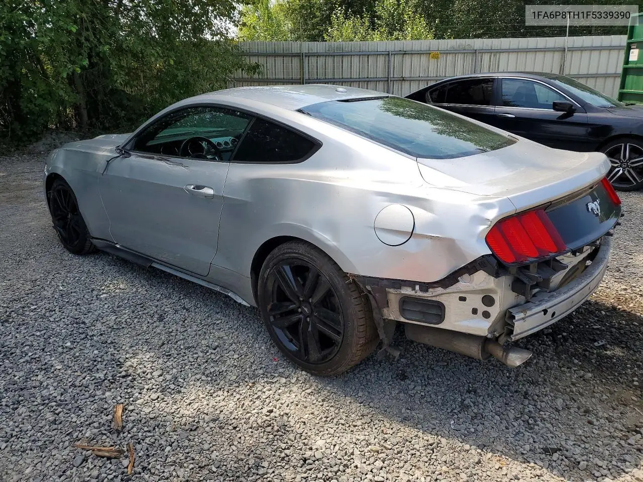 2015 Ford Mustang VIN: 1FA6P8TH1F5339390 Lot: 61021546