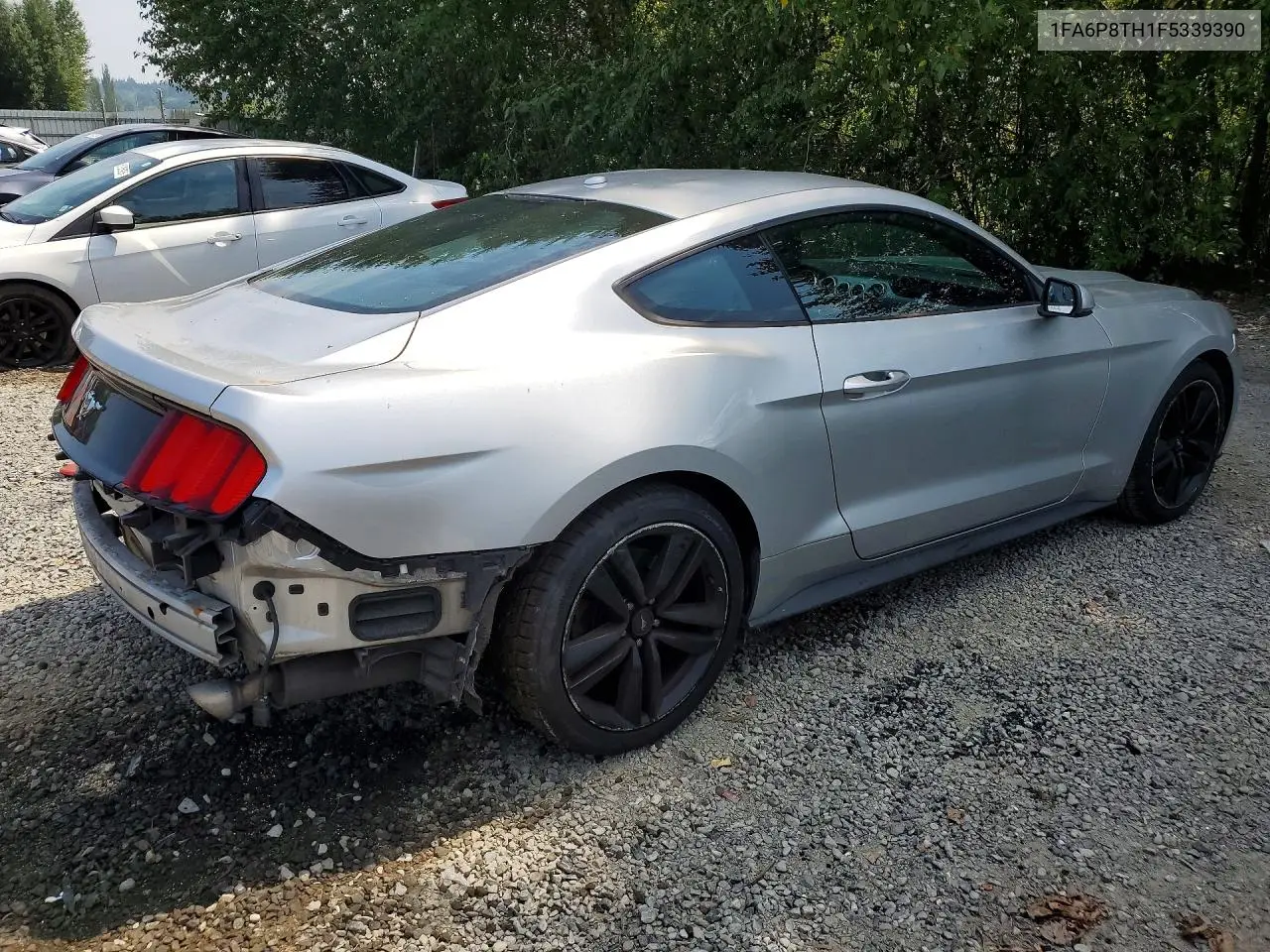 2015 Ford Mustang VIN: 1FA6P8TH1F5339390 Lot: 61021546