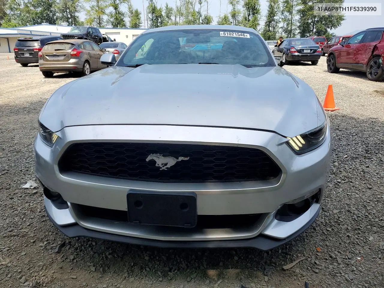2015 Ford Mustang VIN: 1FA6P8TH1F5339390 Lot: 61021546