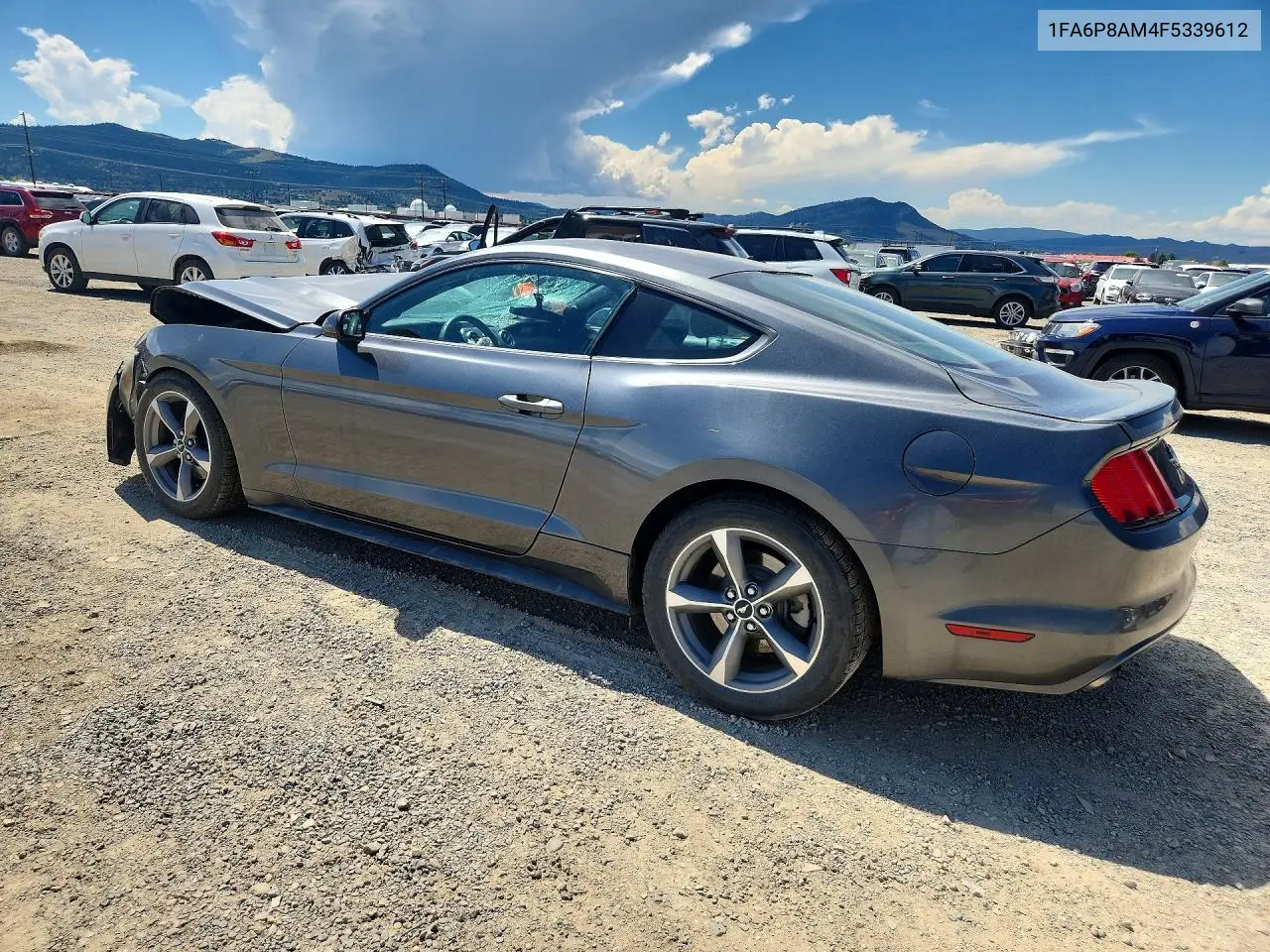 2015 Ford Mustang VIN: 1FA6P8AM4F5339612 Lot: 61217596