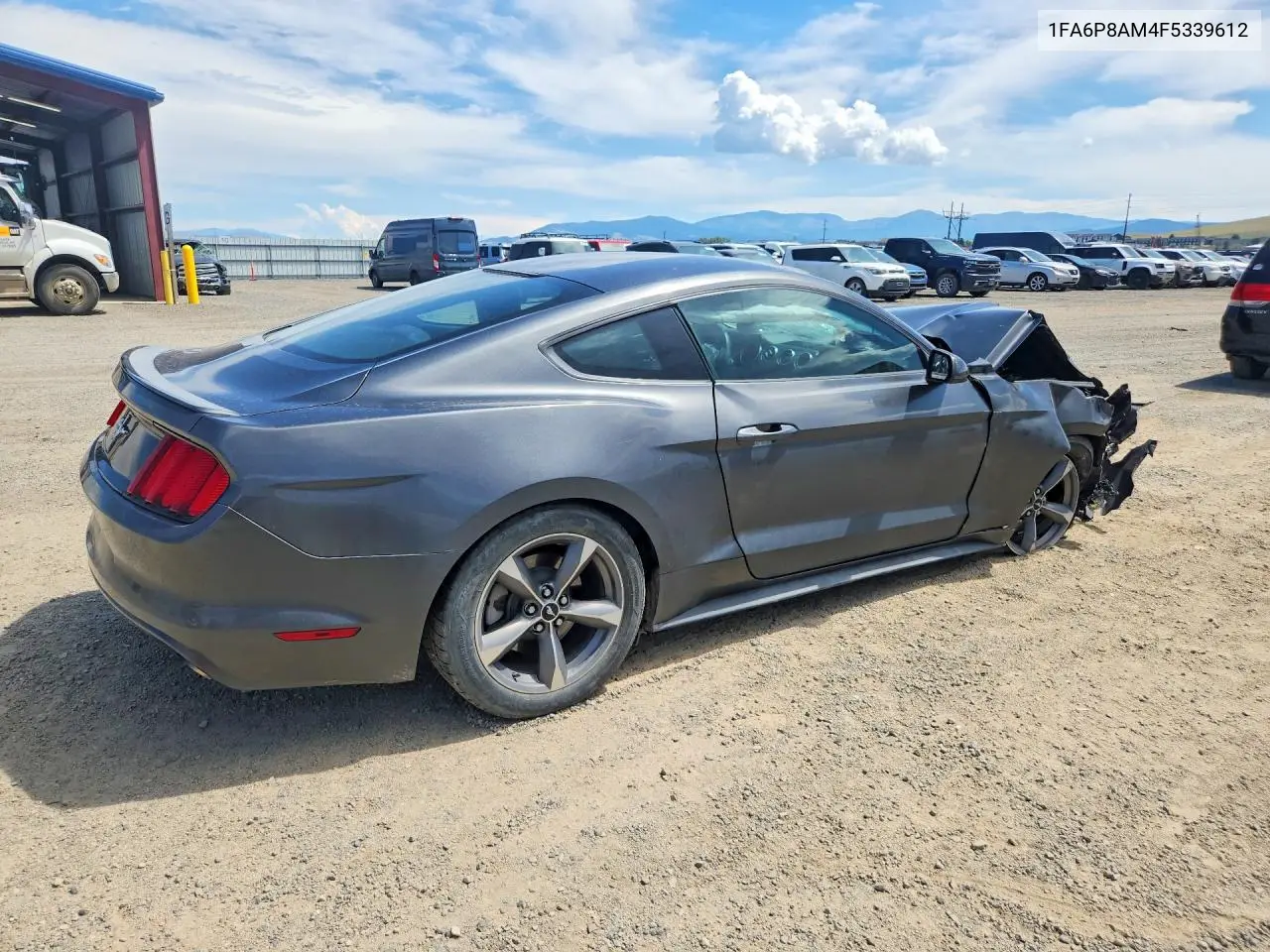 2015 Ford Mustang VIN: 1FA6P8AM4F5339612 Lot: 61217596