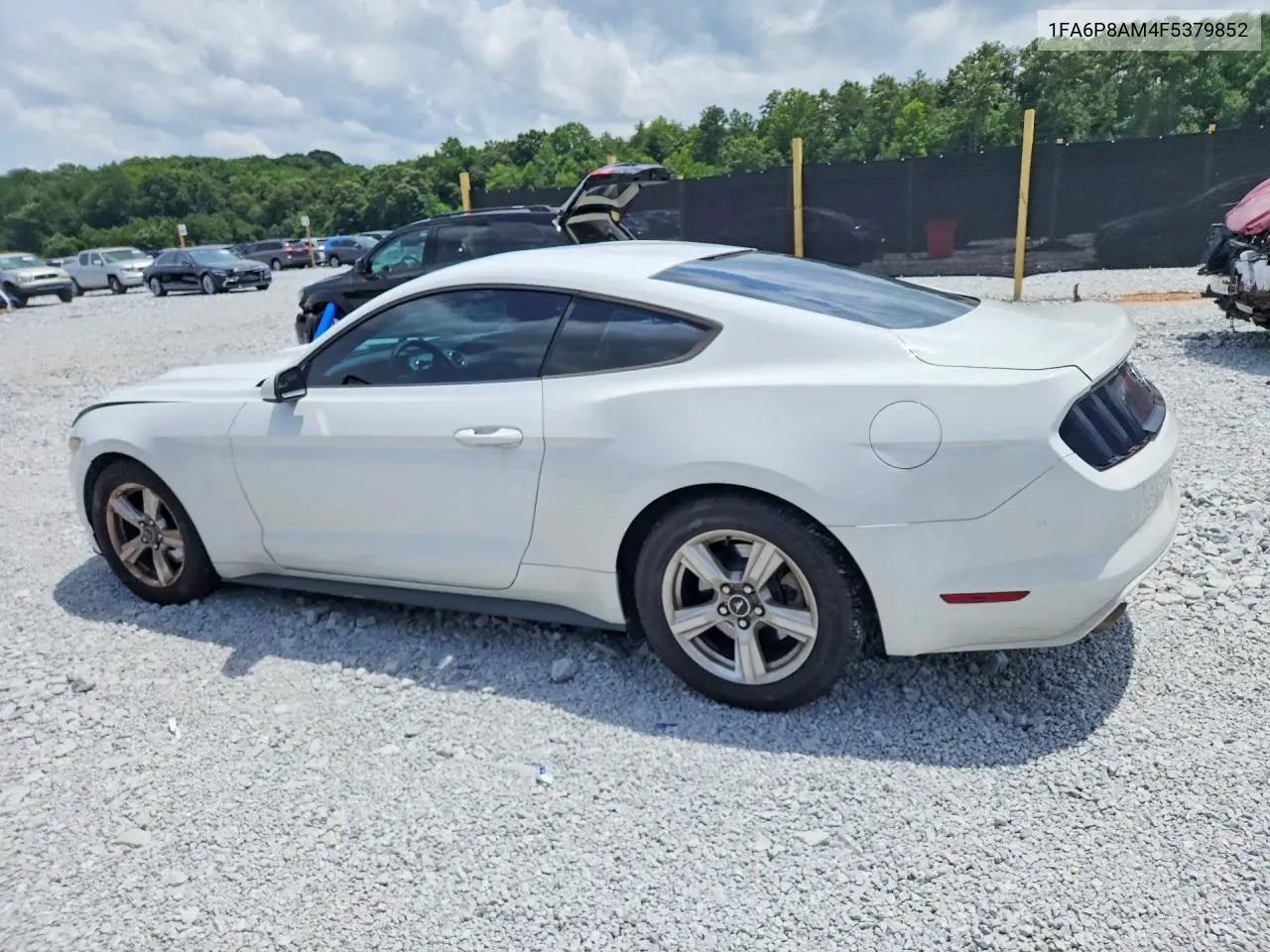 2015 Ford Mustang VIN: 1FA6P8AM4F5379852 Lot: 62229446