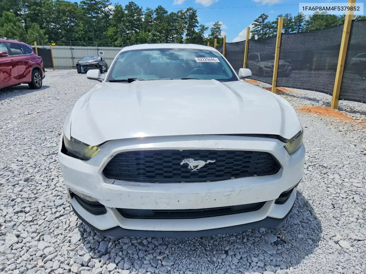 2015 Ford Mustang VIN: 1FA6P8AM4F5379852 Lot: 62229446
