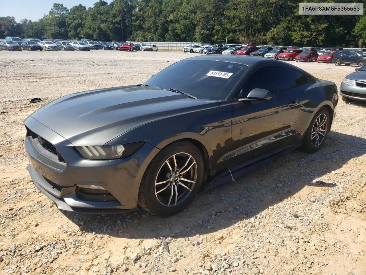1FA6P8AM5F5365653 2015 Ford Mustang