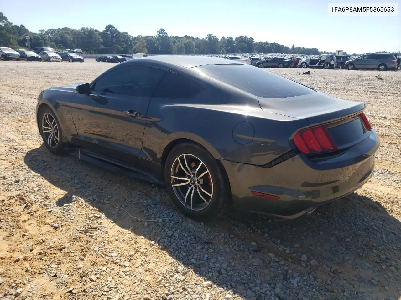 1FA6P8AM5F5365653 2015 Ford Mustang