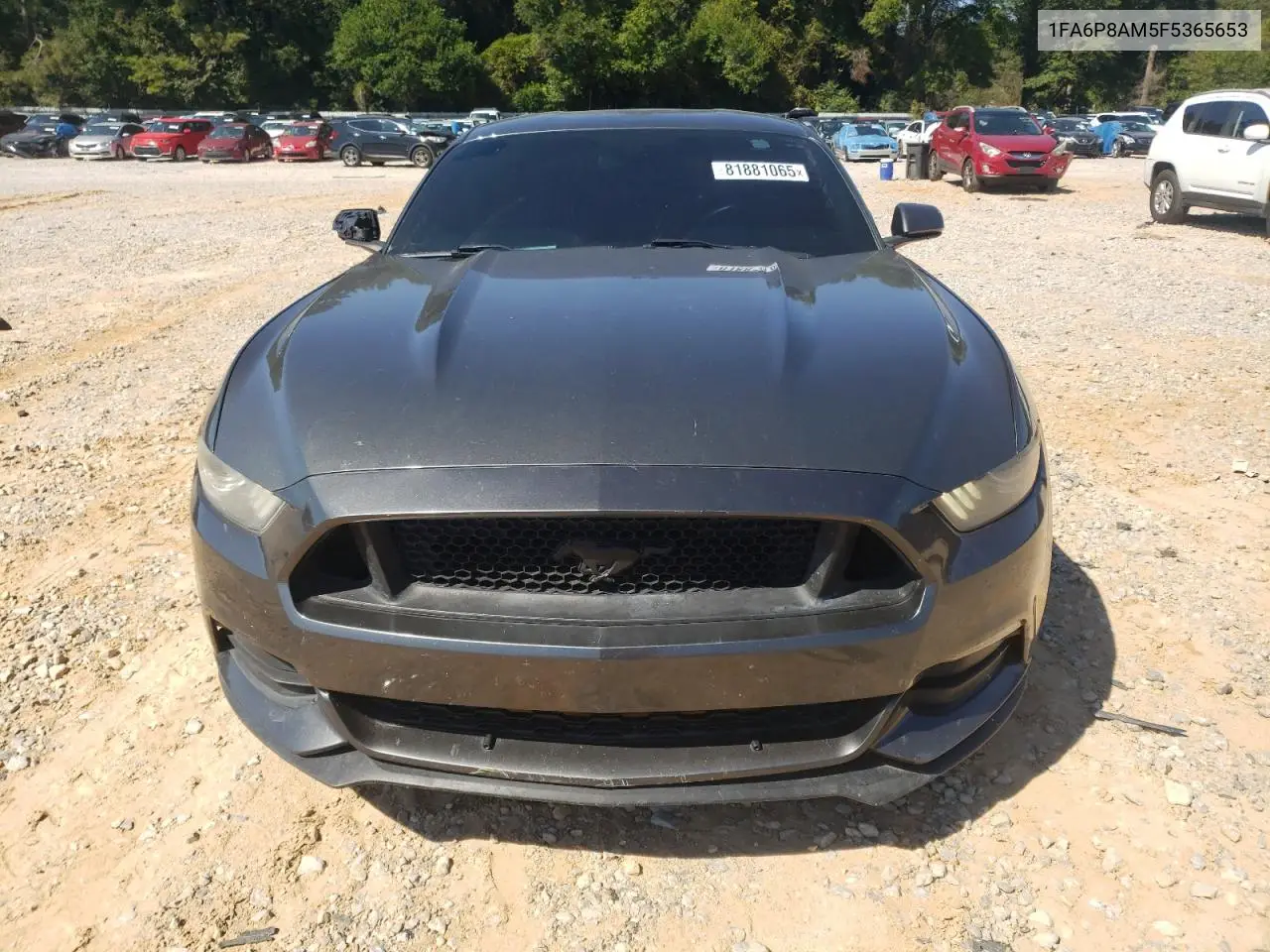 1FA6P8AM5F5365653 2015 Ford Mustang