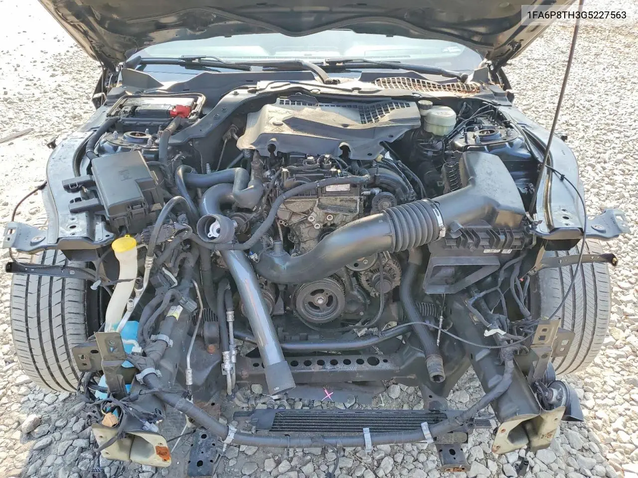 2016 Ford Mustang VIN: 1FA6P8TH3G5227563 Lot: 61694086