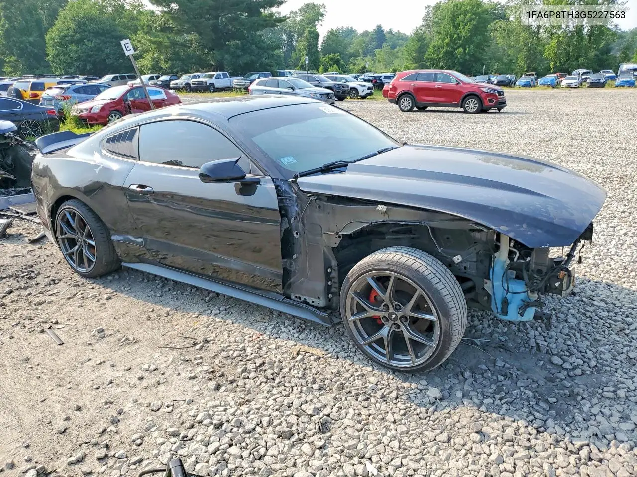 2016 Ford Mustang VIN: 1FA6P8TH3G5227563 Lot: 61694086