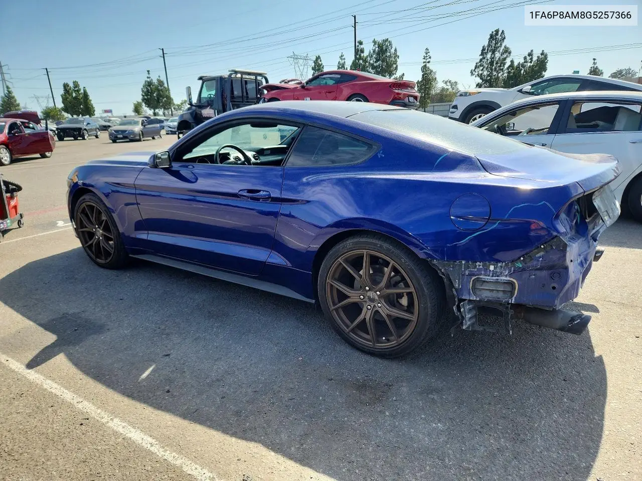 2016 Ford Mustang VIN: 1FA6P8AM8G5257366 Lot: 62095336