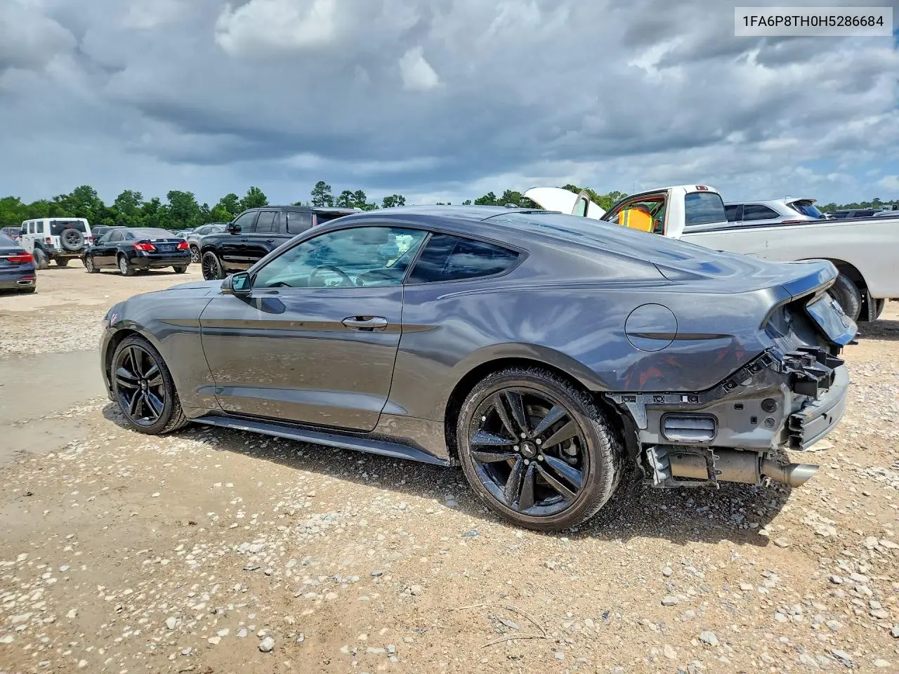 2017 Ford Mustang VIN: 1FA6P8TH0H5286684 Lot: 56437166