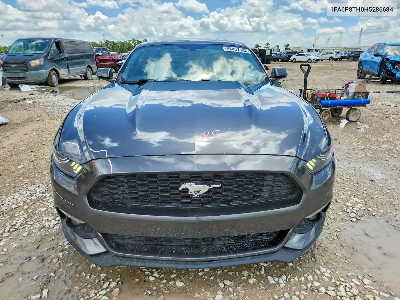 2017 Ford Mustang VIN: 1FA6P8TH0H5286684 Lot: 56437166