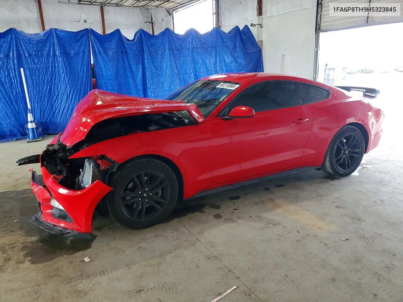 2017 Ford Mustang VIN: 1FA6P8TH9H5323845 Lot: 60315866