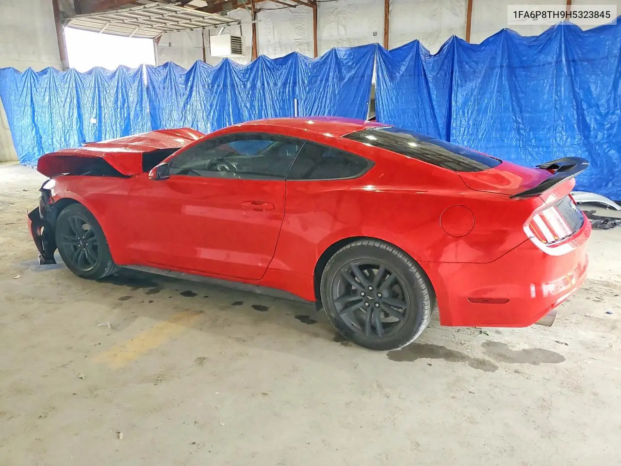 2017 Ford Mustang VIN: 1FA6P8TH9H5323845 Lot: 60315866