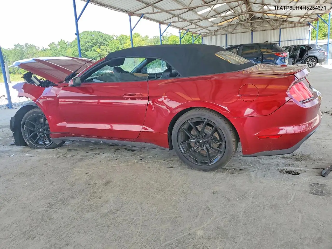 2017 Ford Mustang VIN: 1FATP8UH4H5254371 Lot: 60439396
