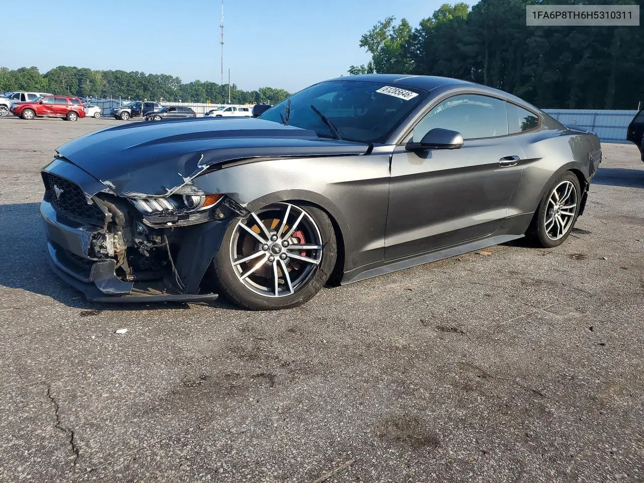 2017 Ford Mustang VIN: 1FA6P8TH6H5310311 Lot: 61285646