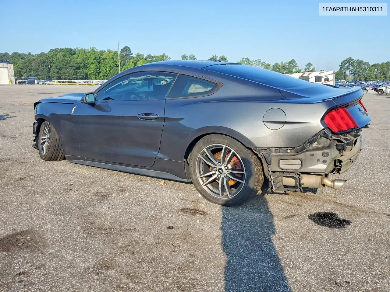2017 Ford Mustang VIN: 1FA6P8TH6H5310311 Lot: 61285646