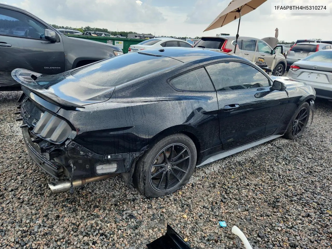 2017 Ford Mustang VIN: 1FA6P8TH4H5310274 Lot: 61553276