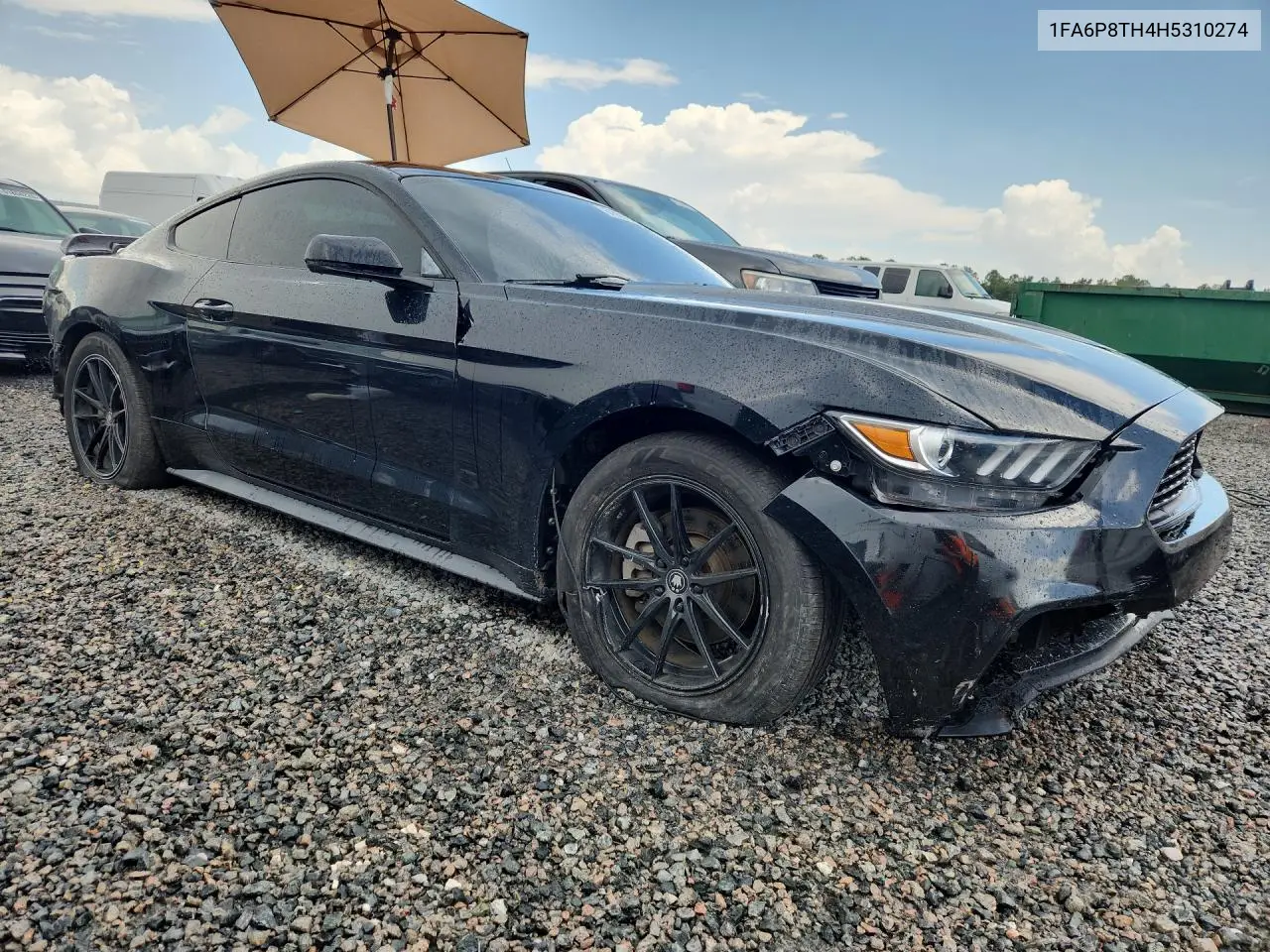 2017 Ford Mustang VIN: 1FA6P8TH4H5310274 Lot: 61553276