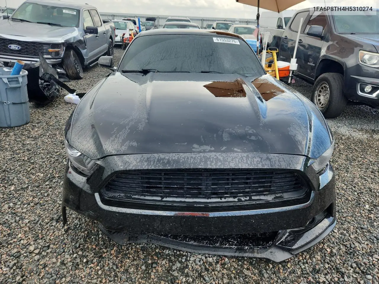 2017 Ford Mustang VIN: 1FA6P8TH4H5310274 Lot: 61553276