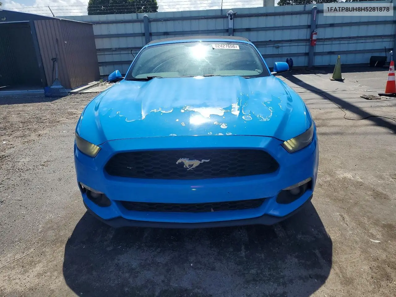 2017 Ford Mustang VIN: 1FATP8UH8H5281878 Lot: 62427656