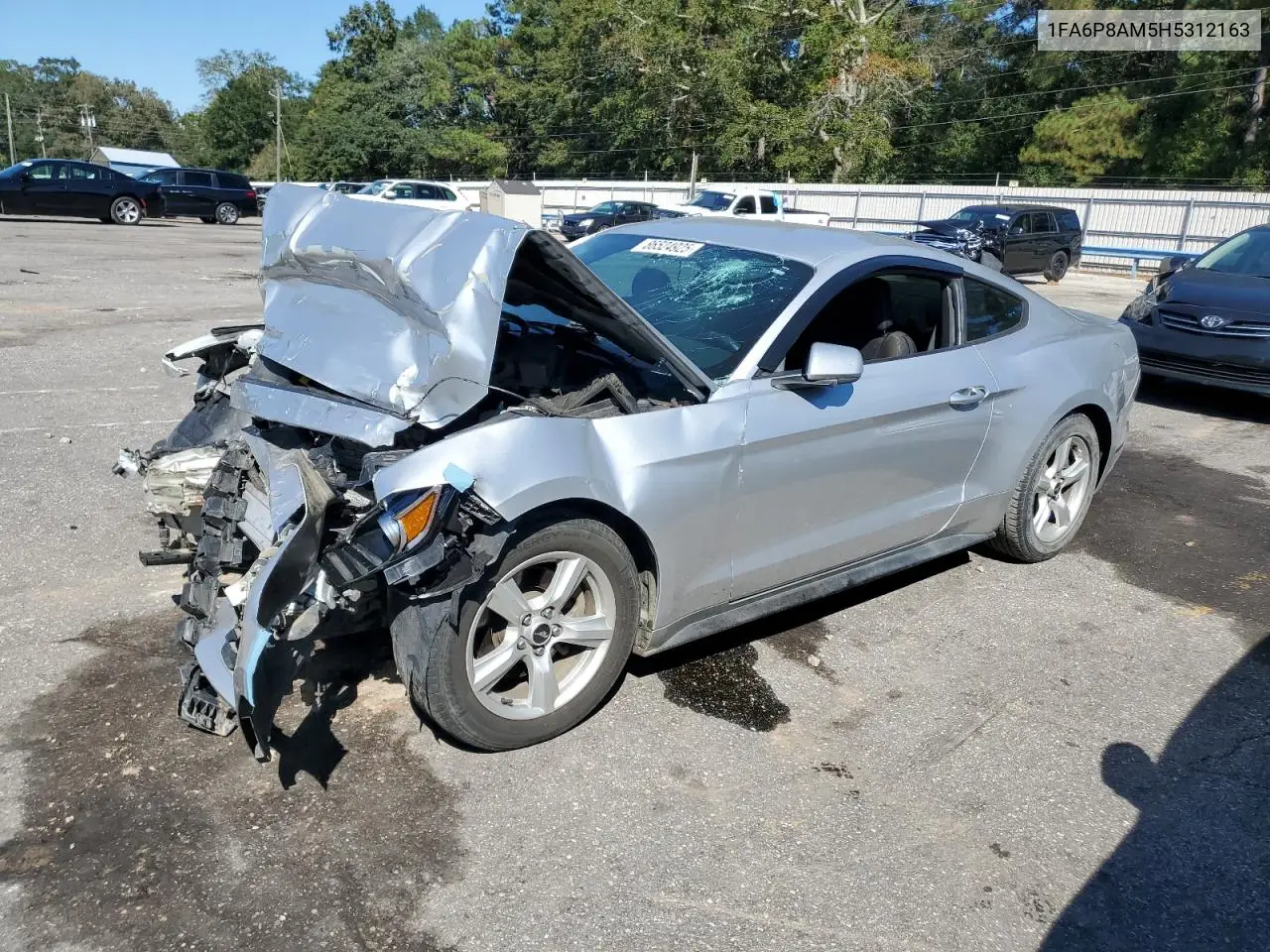 1FA6P8AM5H5312163 2017 Ford Mustang