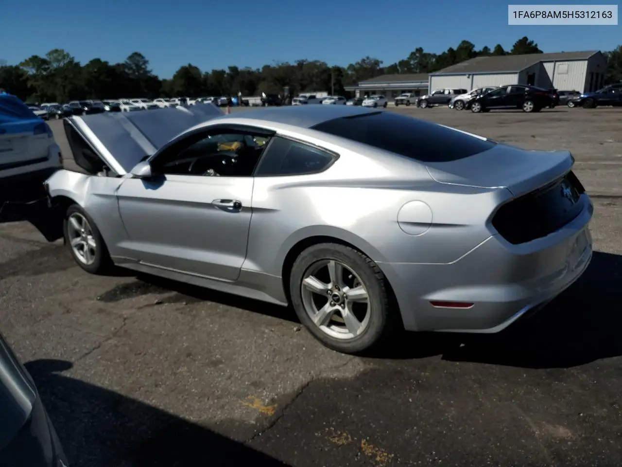 1FA6P8AM5H5312163 2017 Ford Mustang