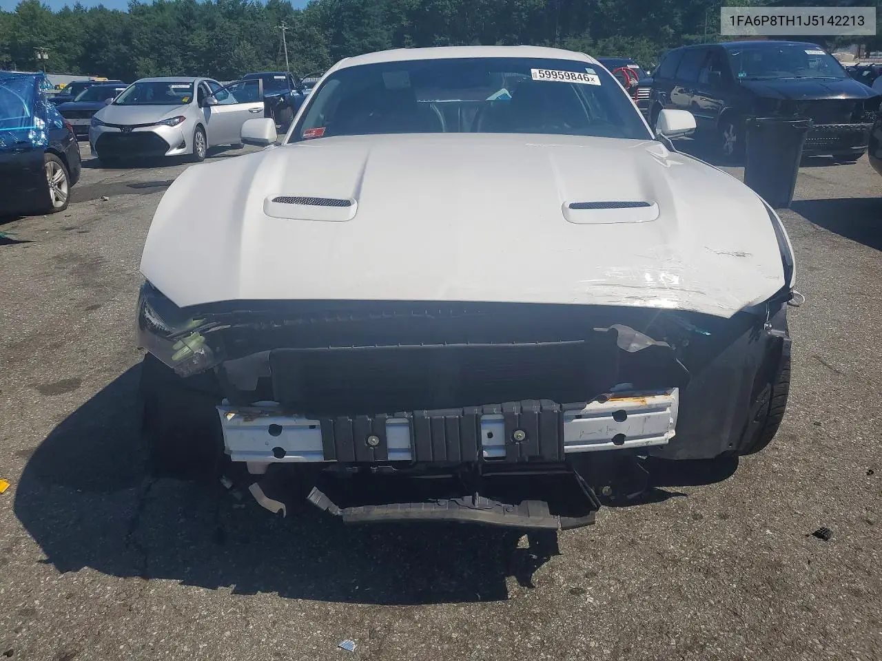 2018 Ford Mustang VIN: 1FA6P8TH1J5142213 Lot: 59959846