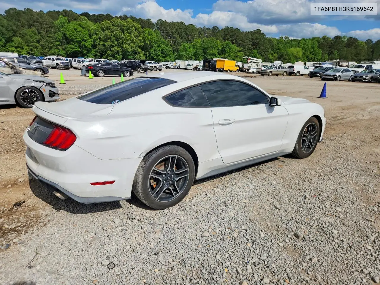 2019 Ford Mustang VIN: 1FA6P8TH3K5169642 Lot: 49022546