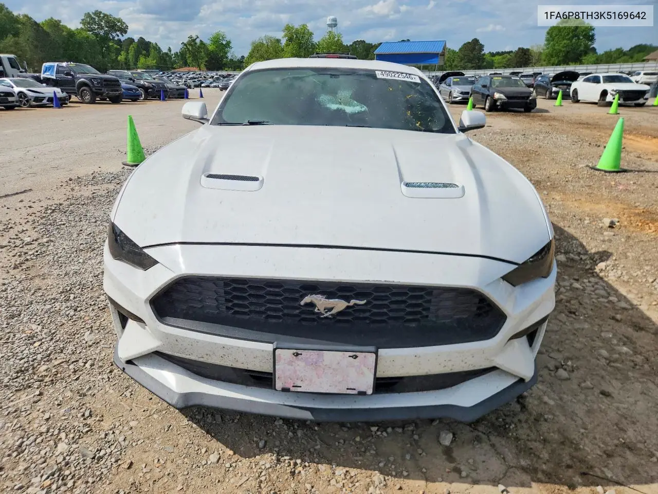 2019 Ford Mustang VIN: 1FA6P8TH3K5169642 Lot: 49022546