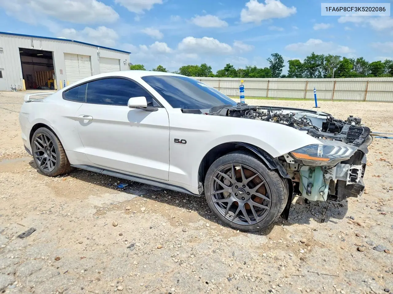 2019 Ford Mustang Gt VIN: 1FA6P8CF3K5202086 Lot: 58006176
