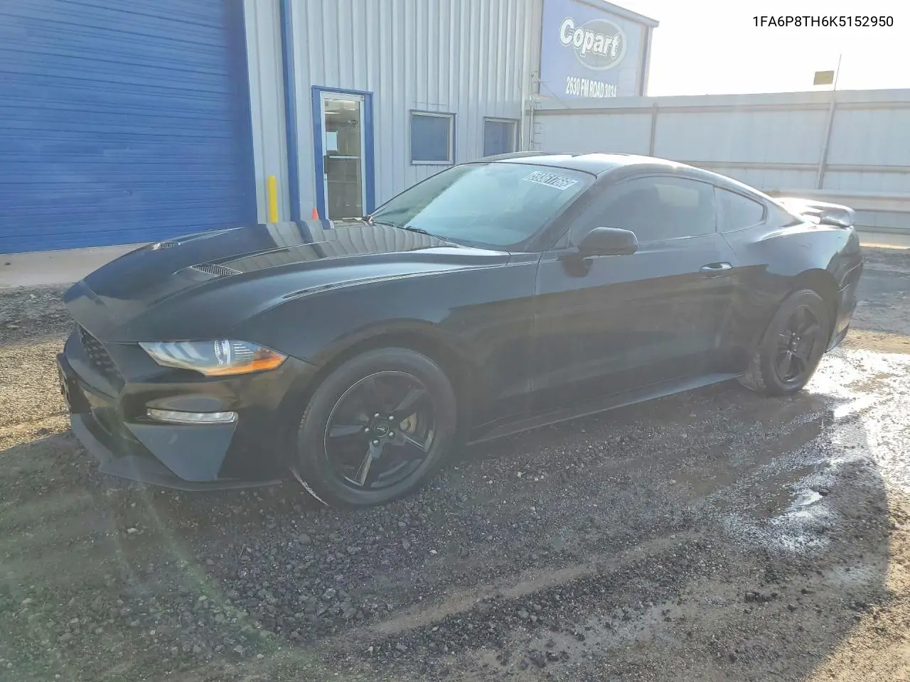 2019 Ford Mustang VIN: 1FA6P8TH6K5152950 Lot: 59361766
