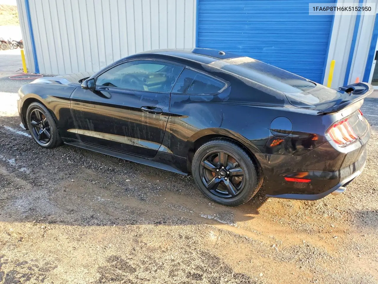 2019 Ford Mustang VIN: 1FA6P8TH6K5152950 Lot: 59361766