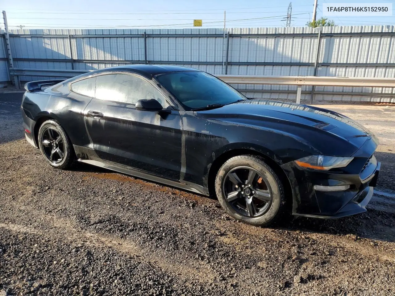 2019 Ford Mustang VIN: 1FA6P8TH6K5152950 Lot: 59361766