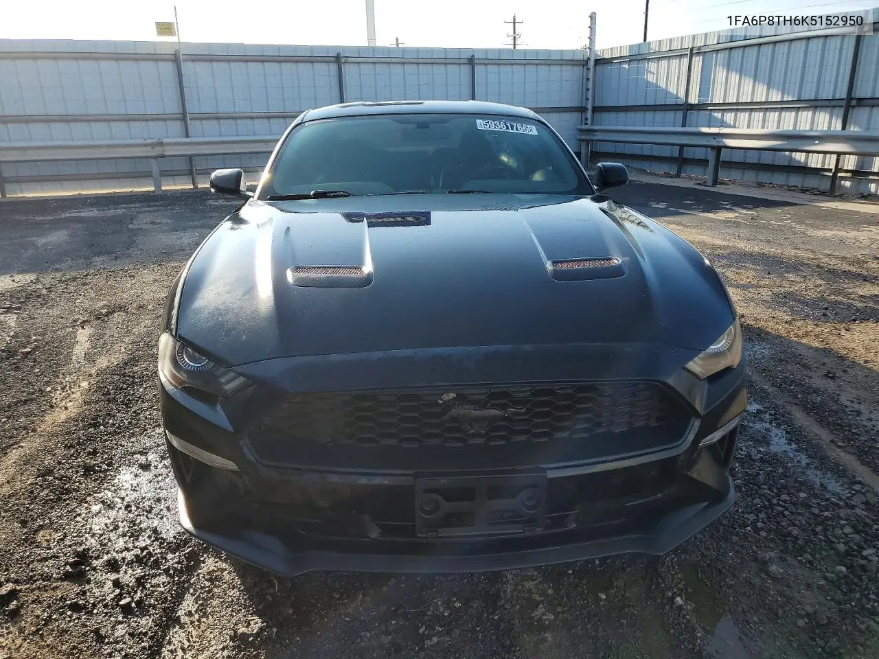 2019 Ford Mustang VIN: 1FA6P8TH6K5152950 Lot: 59361766