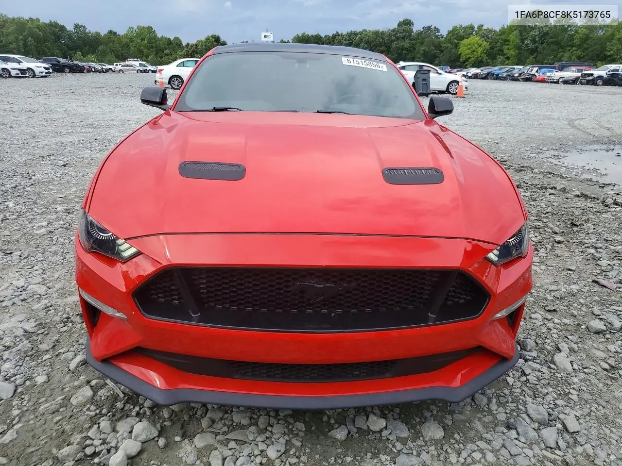 2019 Ford Mustang Gt VIN: 1FA6P8CF8K5173765 Lot: 61515856
