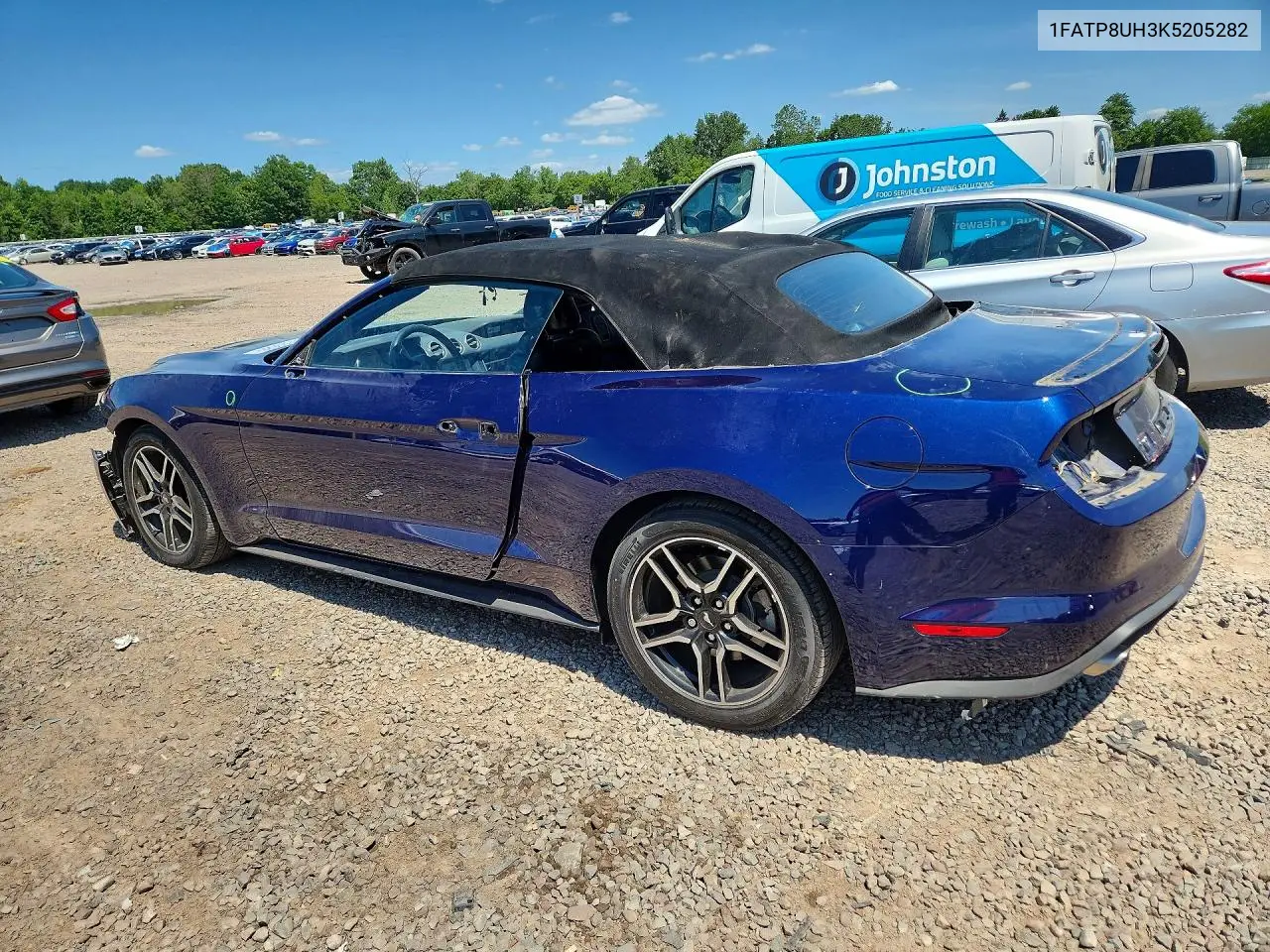 2019 Ford Mustang VIN: 1FATP8UH3K5205282 Lot: 61699536