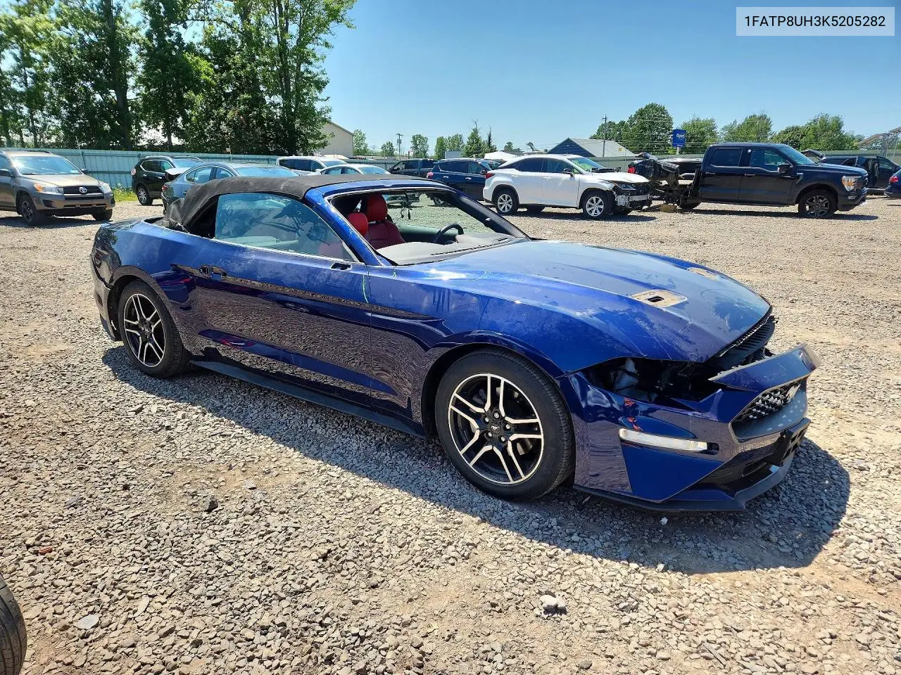 2019 Ford Mustang VIN: 1FATP8UH3K5205282 Lot: 61699536