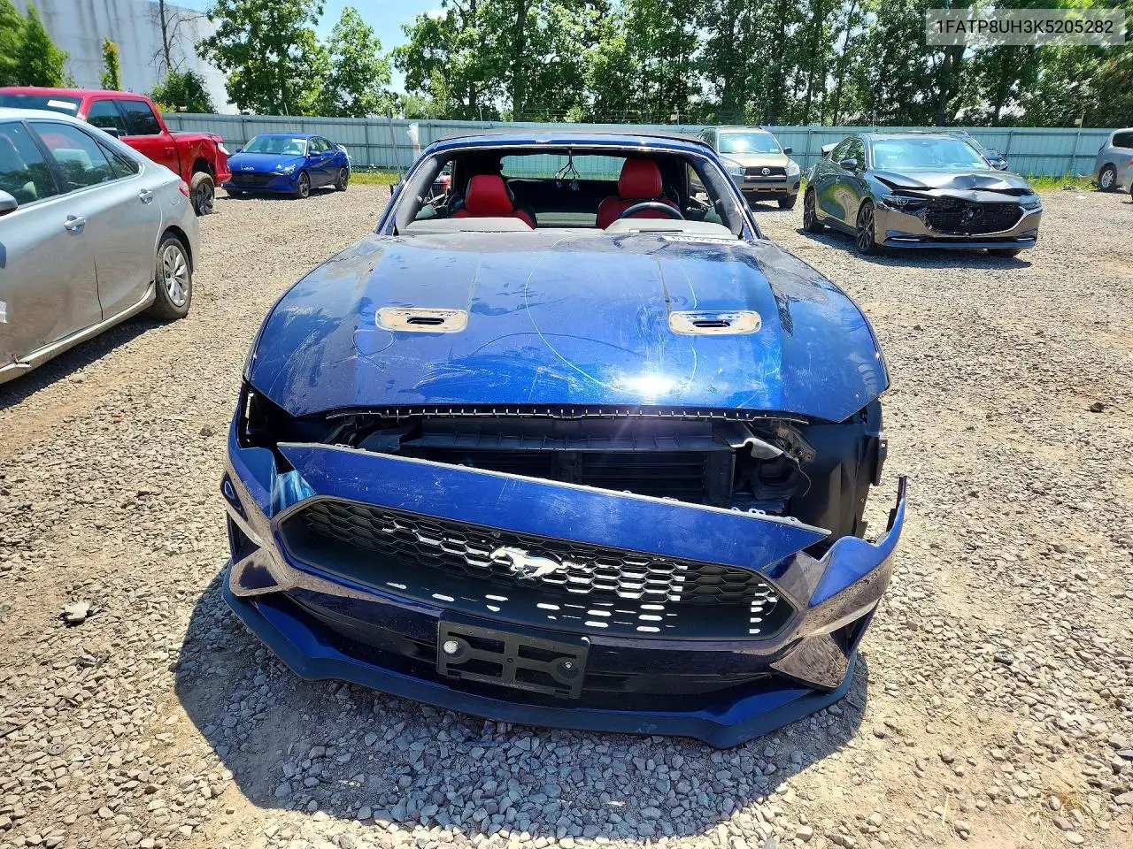 2019 Ford Mustang VIN: 1FATP8UH3K5205282 Lot: 61699536