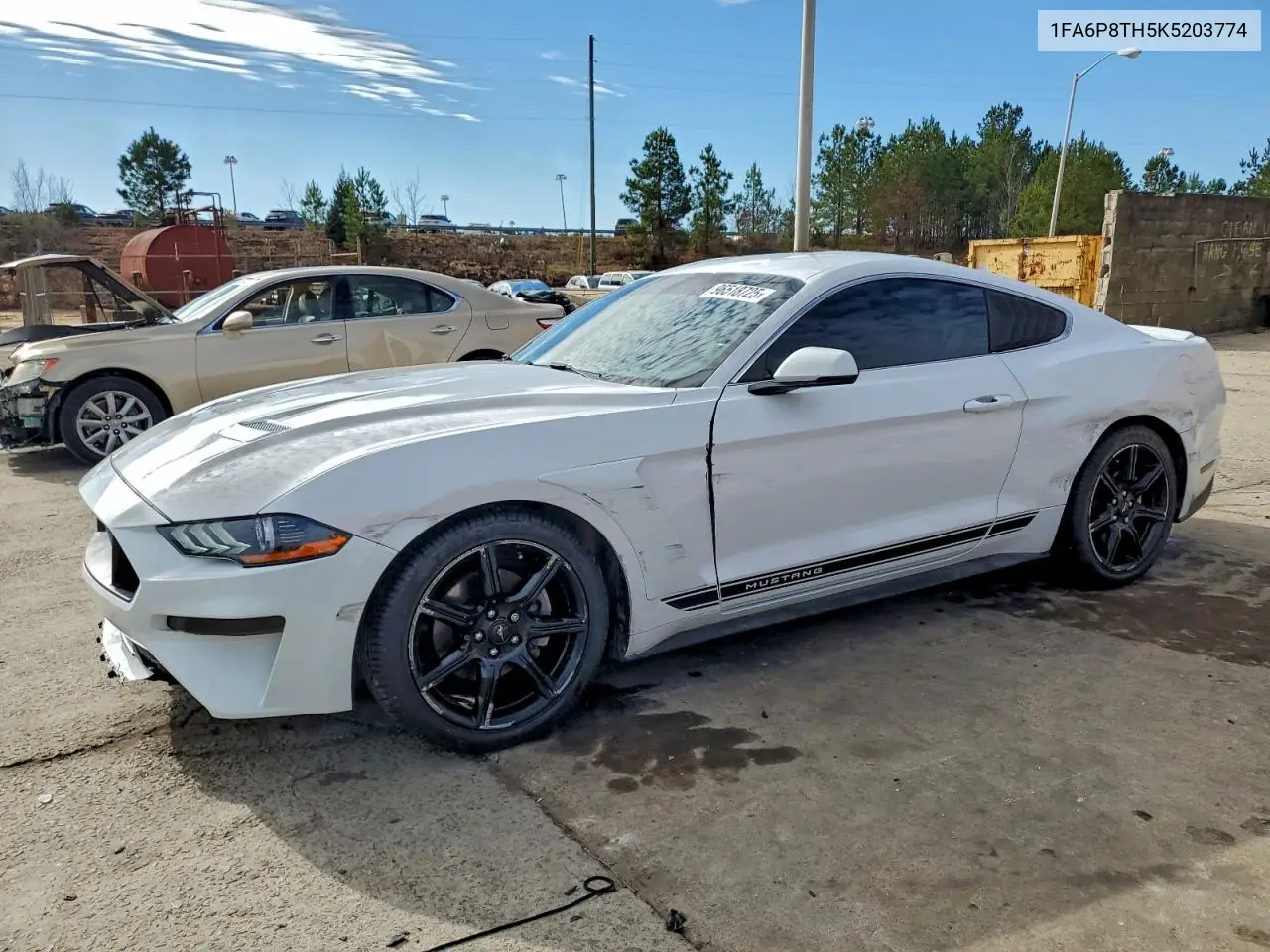 1FA6P8TH5K5203774 2019 Ford Mustang