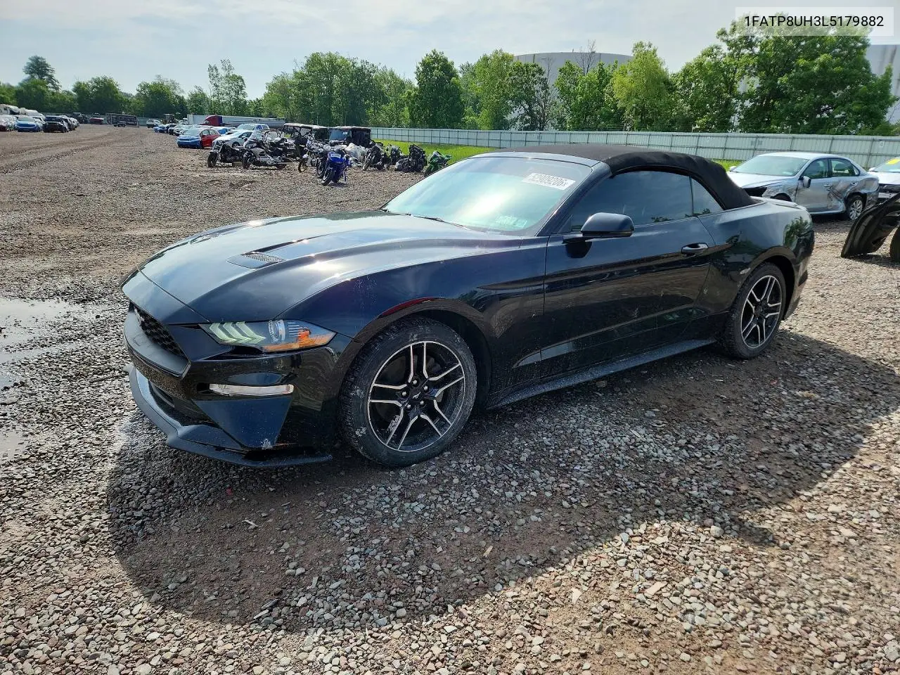 2020 Ford Mustang VIN: 1FATP8UH3L5179882 Lot: 52909206