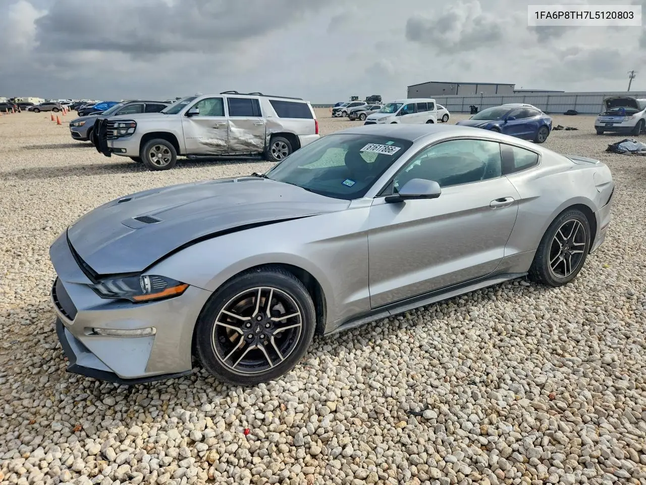 2020 Ford Mustang VIN: 1FA6P8TH7L5120803 Lot: 61617866